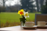 We beginnen in de lente.